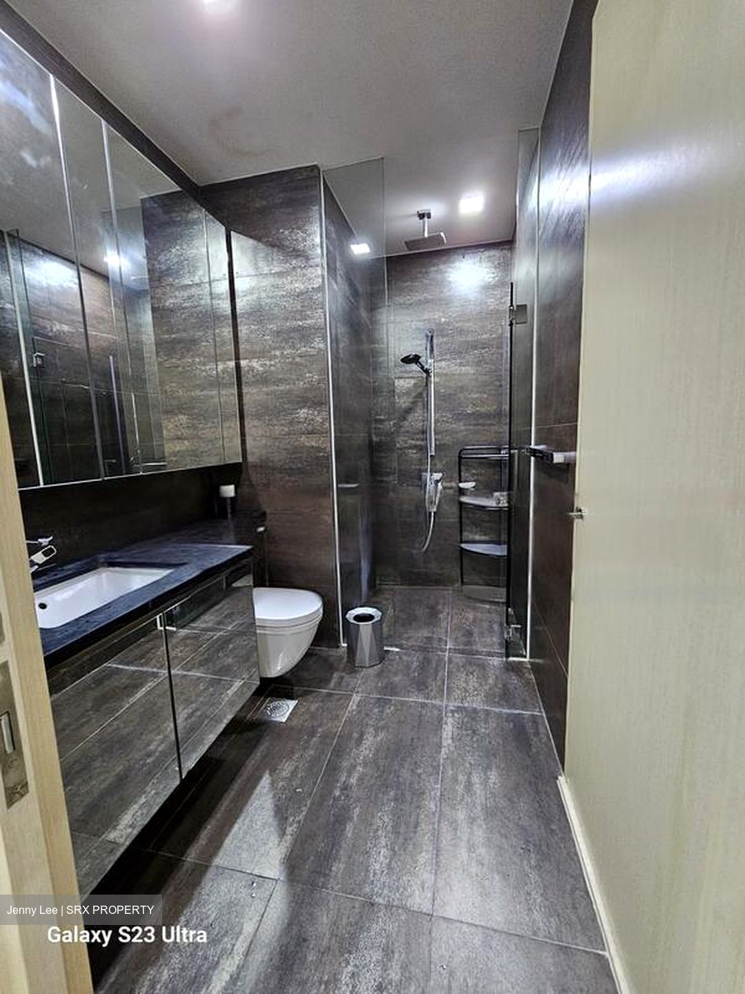The Boutiq (D9), Apartment #458512691